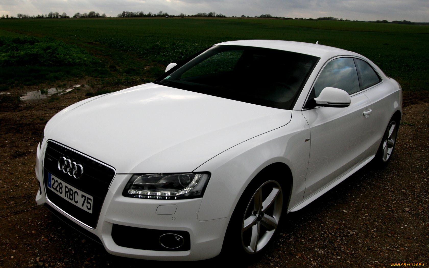 , audi